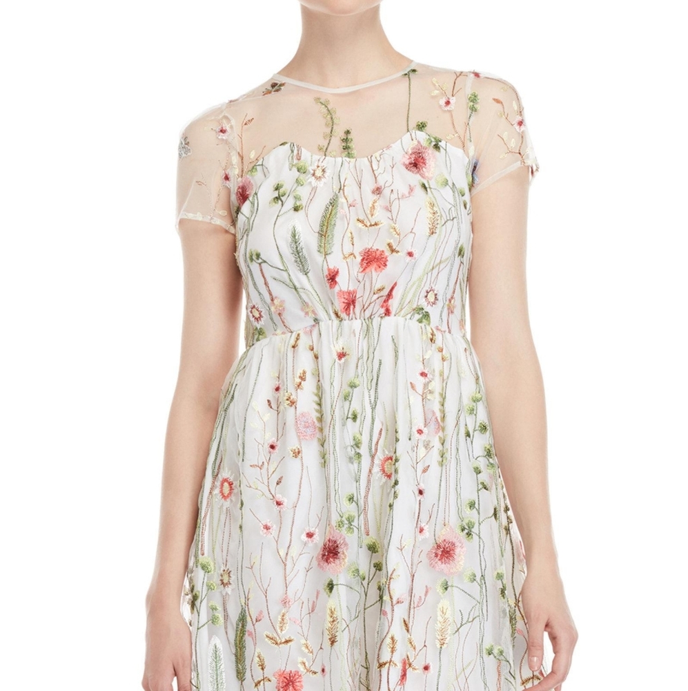 BNWT Walter Baker embroidered dress size 6
